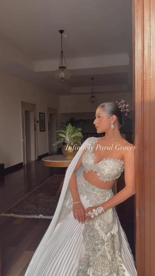Lehenga and Blouse Set